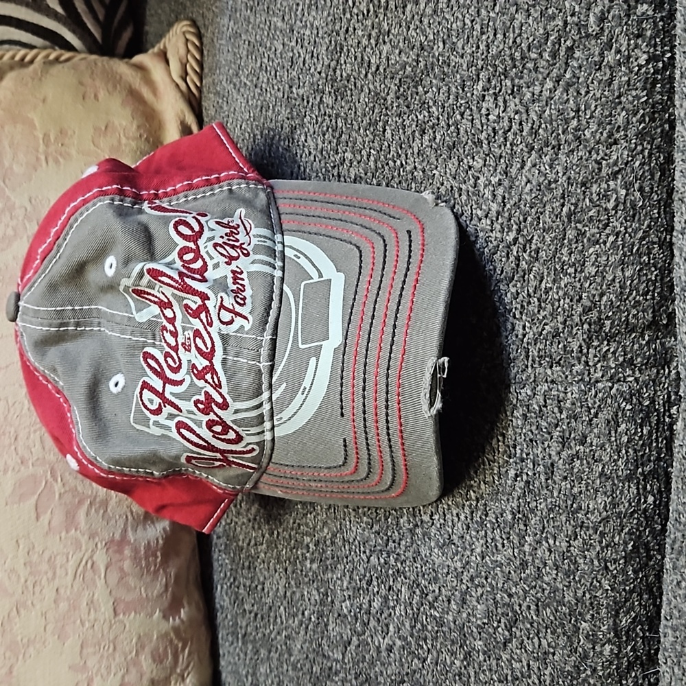 BNWOT Farm girl hat